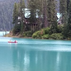 Meet your Posher, Debra